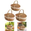 Picnic Basket, Wicker Basket, Sturdy Woven Body with Removable Liner, Outdoor Camping Basket for Birthday, Gift Basket for 3
