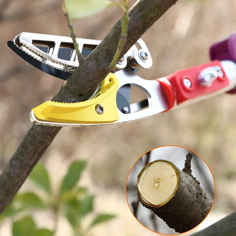 Multipurpose Telescopic Tree Pruner Long Reach Pole Saw Fruit Picker Branches Trimmer Bypass Lopper