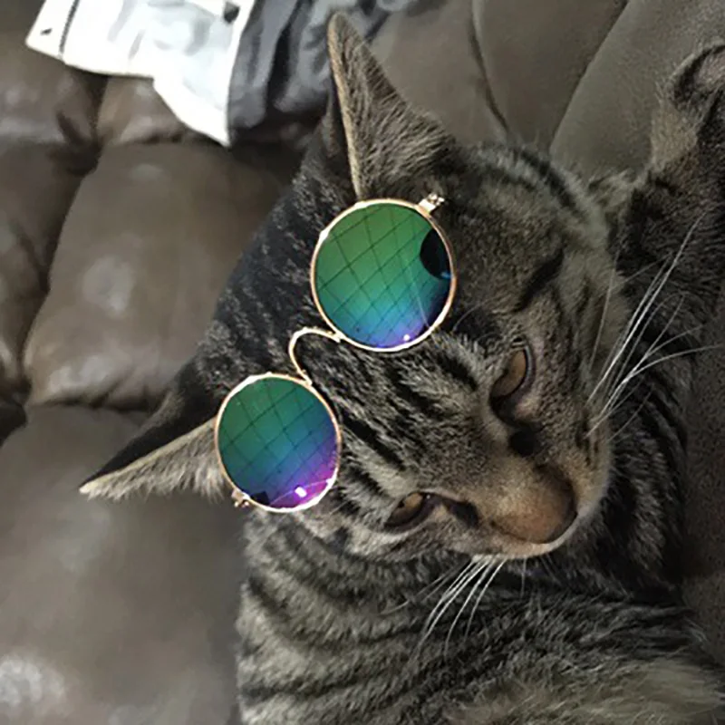 Lovely Vintage Round Cat Sunglasses Reflection Eye wear glasses