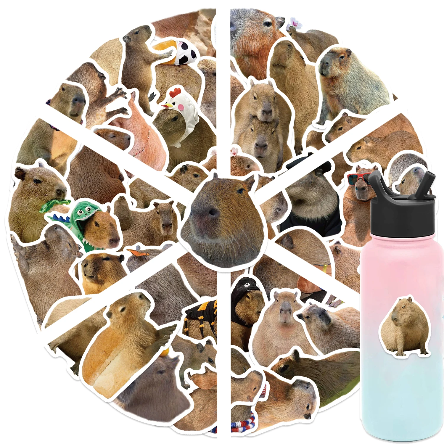50 Stück Capybara-Tiere-Aufkleber, wasserfest, wiederverwendbar, für DIY-Laptops, Skateboards, Wasserflaschen, perfekt für Partys – Detail 16