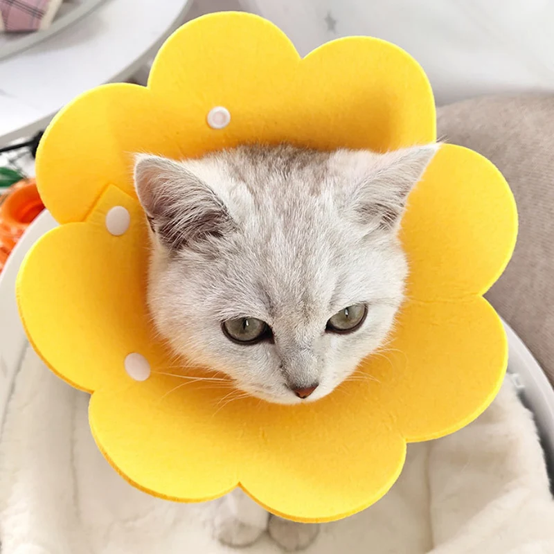 Title 6, Flower Shaped Elizabethan Cat Recovery Collar C...