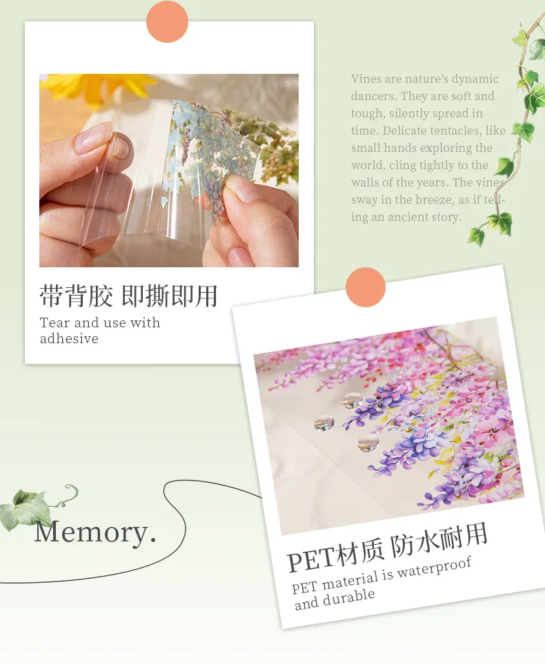 Sf5884a9f0c7845ccb4da2494b37afc4a3 5x200cm 1 roll INS Fresh vine theme PET tape Stickers Adhesive DIY Scrapbooking Diary Scrapbooking Collage material Scrapbooking Mallzona