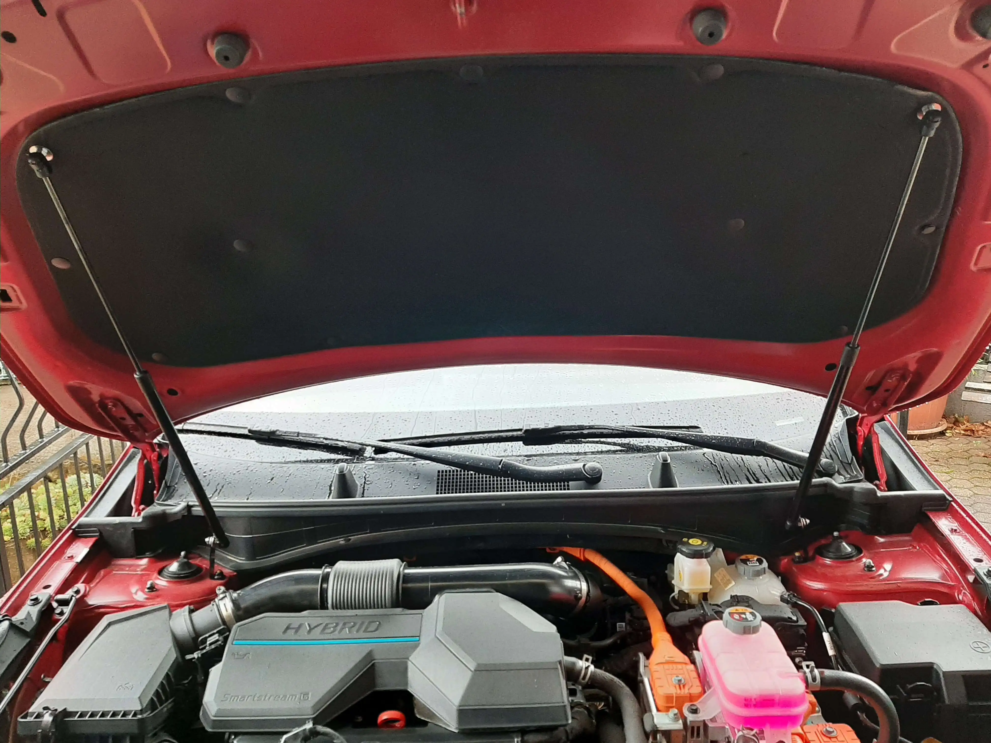 Hood Gas Struts For Kia Sportage Nq5 Hybrid 20212024 Front