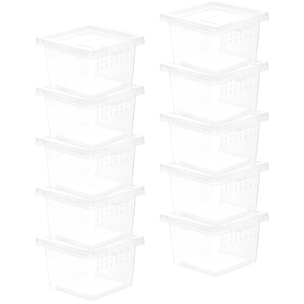 

Spider Terrariums Jumping Spider Enclosure Small Transparent Container Breeding Box And Small Reptile 10 Pcs