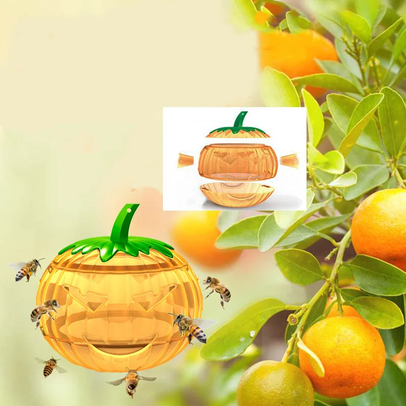 Fly Trap Bee Waterproof Fruit Fly Riutilizzabile Plastic Killer Catcher Frutteto Insect Pest Control Fly Bee Trap Kitchen Insect Tool