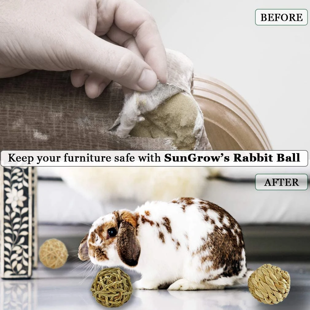 Small Animal Chew Toys 2