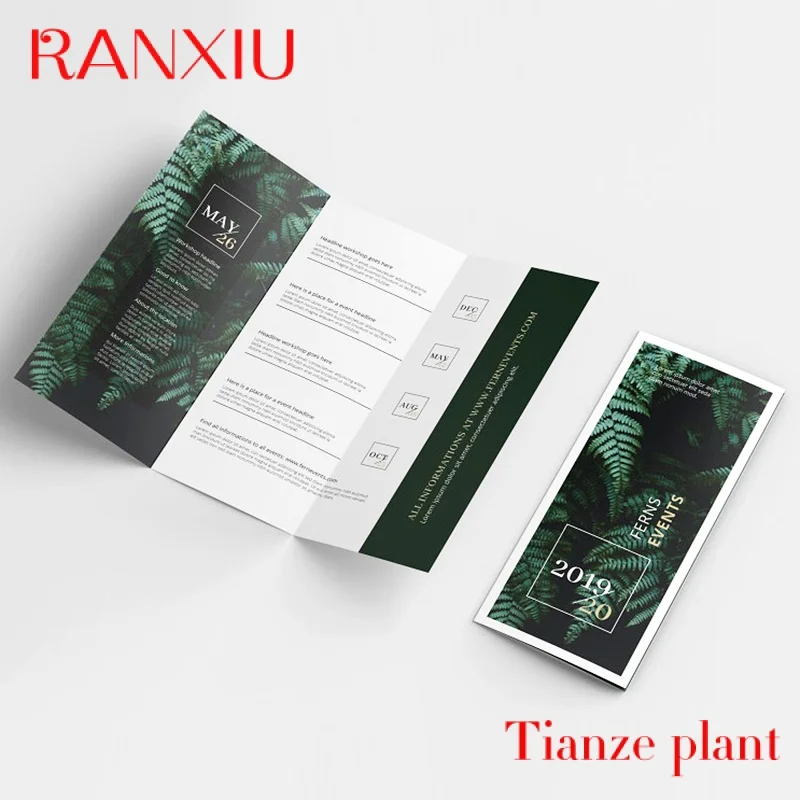 

Высококачественная Складная рекламная книга/Листовка/буклетная печать офсетная печать складной CMYK цвет