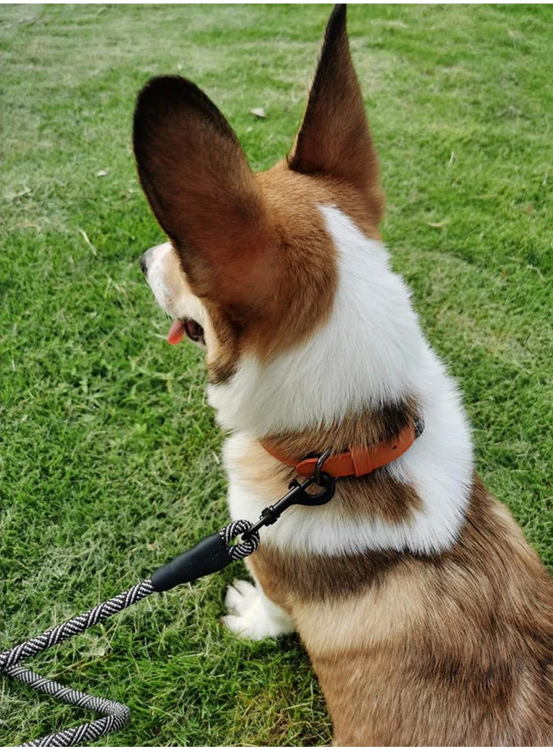Reflective Nylon Round Dog Leash For Safe Walking And Control_voghion.com