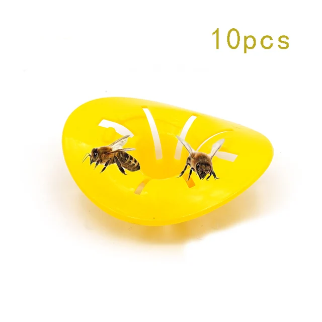 10Pcs