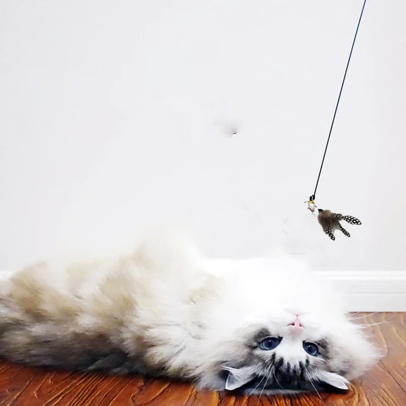 Interactive Cat Feather Toy 2