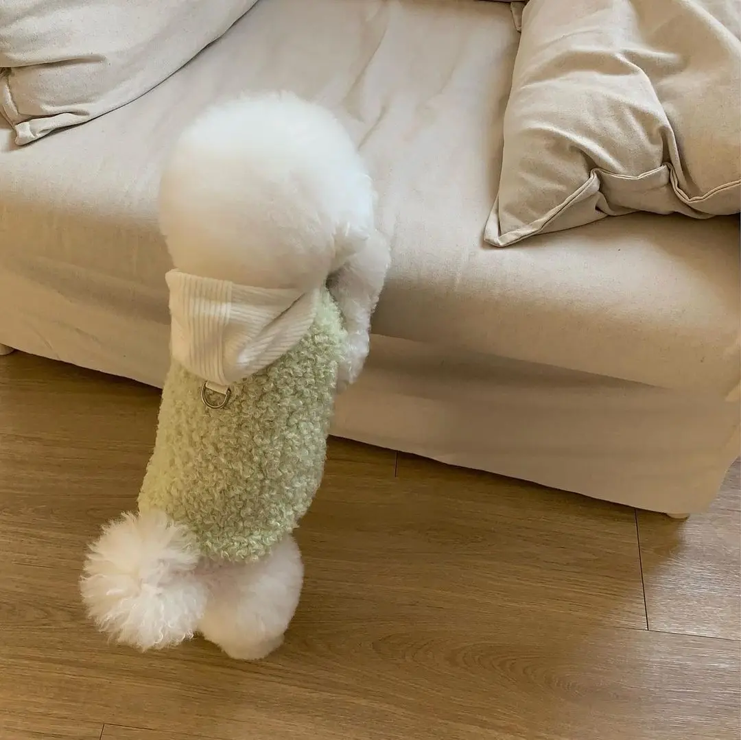 thumbnail image 1 of Mascota de dos patas con sombrero abrigo diseño de moda perro pequeño mediano disfraces cálidos de invierno cachorro mascota ropa de algodón chaleco para Chihuahua, 1 of 5
