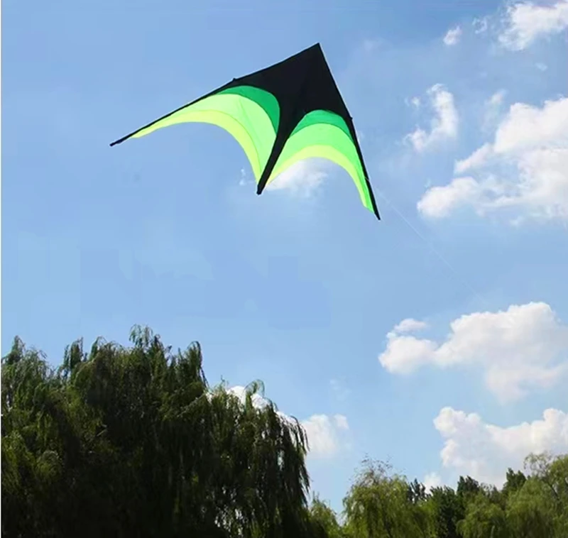 2m großer Delta-Drachen zum Fliegen im Freien, Sport-Drachen mit Schnur, Outdoor-Spielzeug für Kinder, Wind-Drachen, Kinder-Kitesurfen, Koi – Detail 6