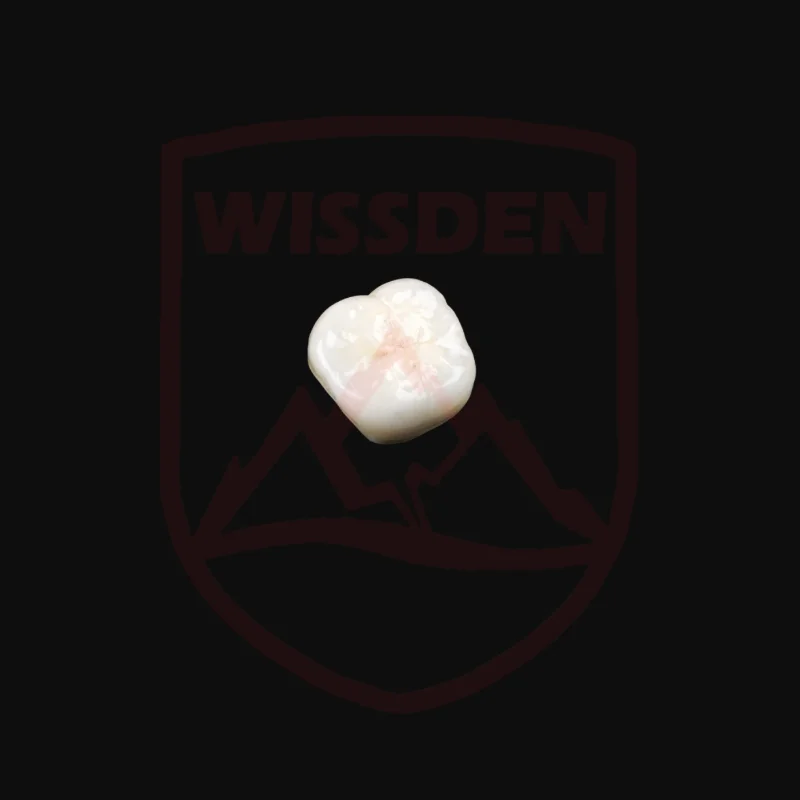 159675-97b64a.png