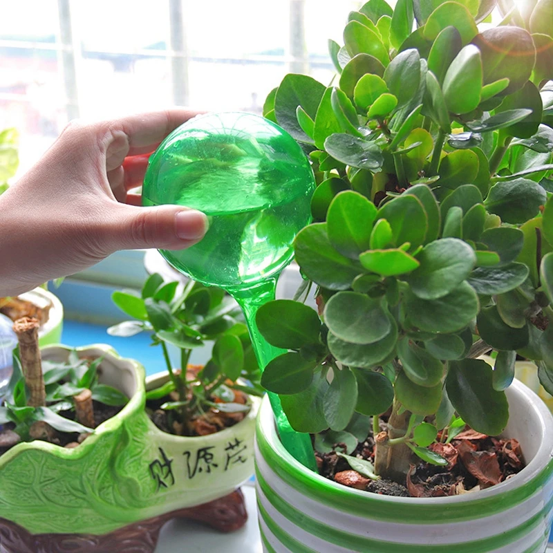 Set of 3 Clear Self-Watering Plant Globes for Garden and Indoor Flowers