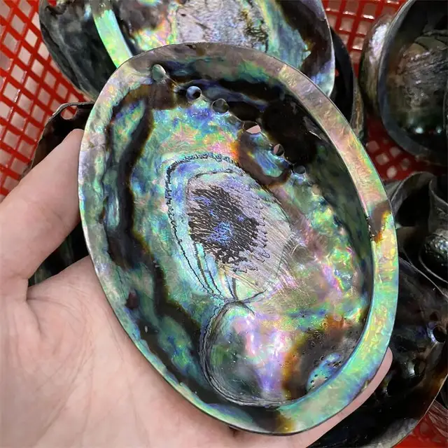 Kiváló Minőségű Kagyló, Mint Karácsonyi Díszek Ajándéka A Gyerekeknek Vagy Az Otthoni Szoba Reiki Dekoráció 1Db - Image 5