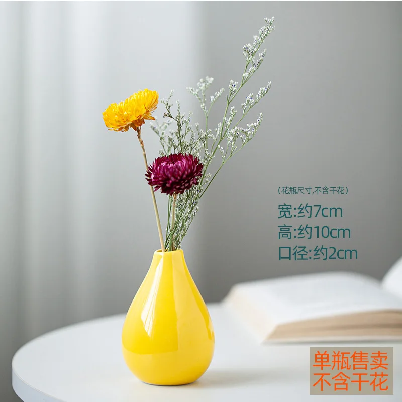 Modern Flower Vases for Homes, Living Room Decoration, Creative Ceramic Vase, Home Accessories 5