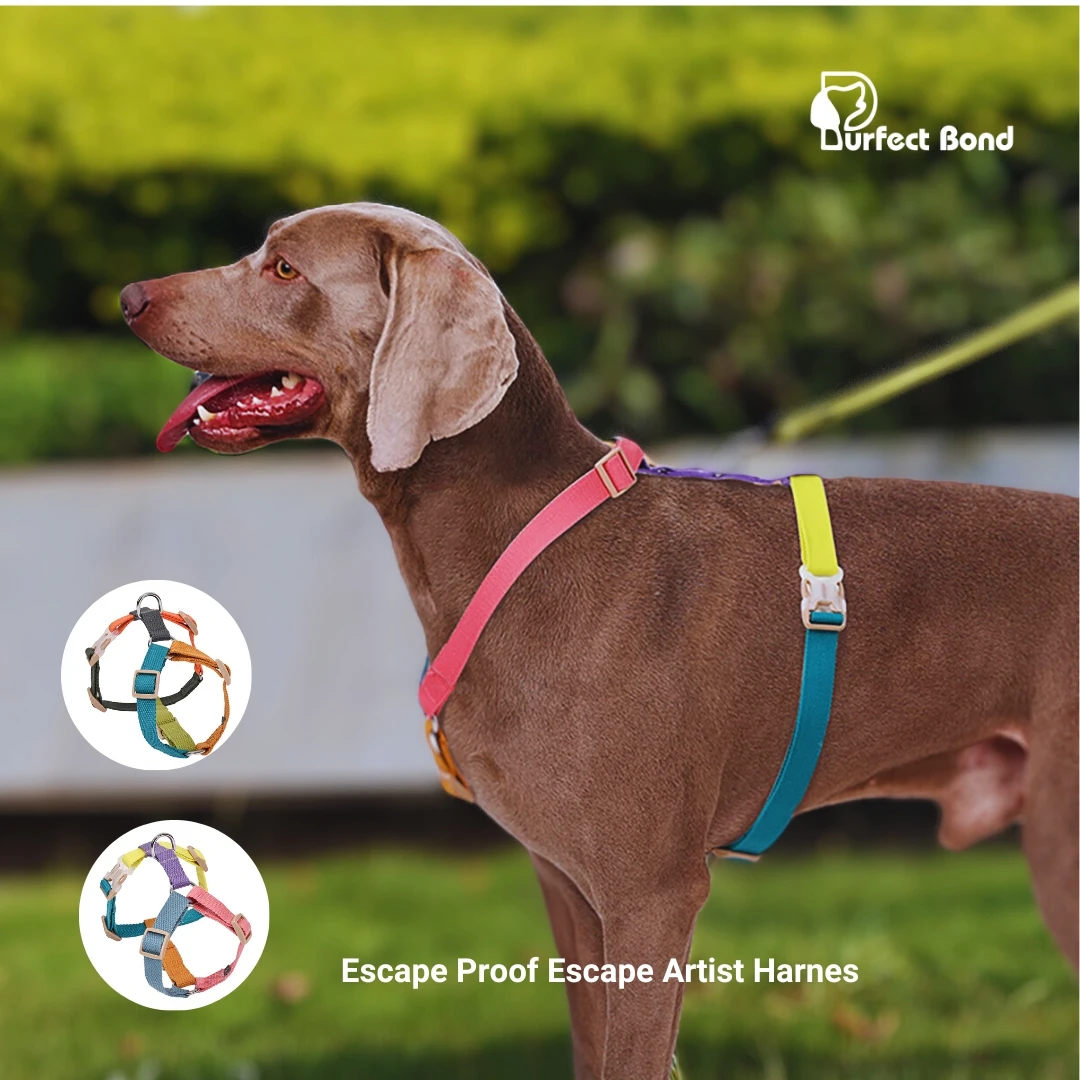 DogHarnessesEscapeProofEscapeArtistHarnessHTypeChestBack