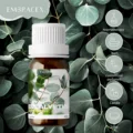 Eucalyptus