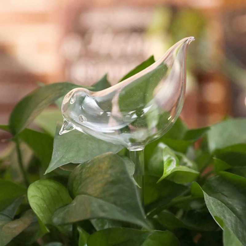 Self Watering Globes Plant Waterer Bird Shape Hand Blown Clear Aqua Bulbs