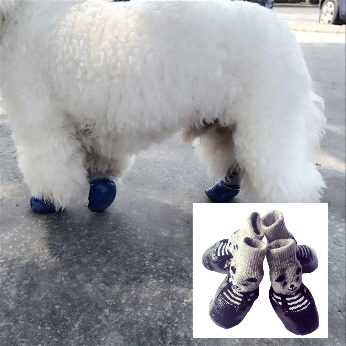 show me dog shoes