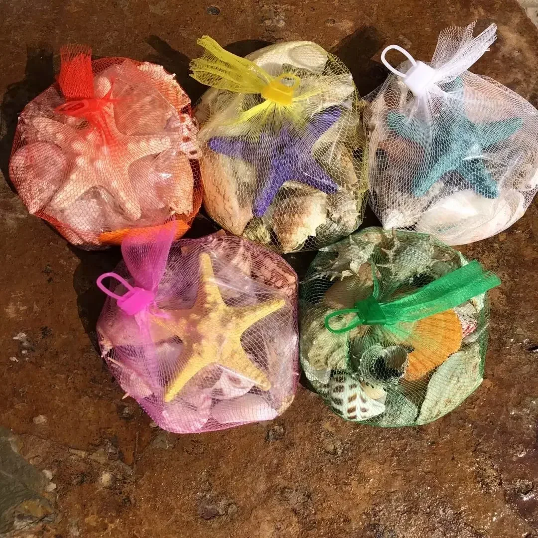Shell Fish Tank Landscaping Small Conch Shell Handmade
