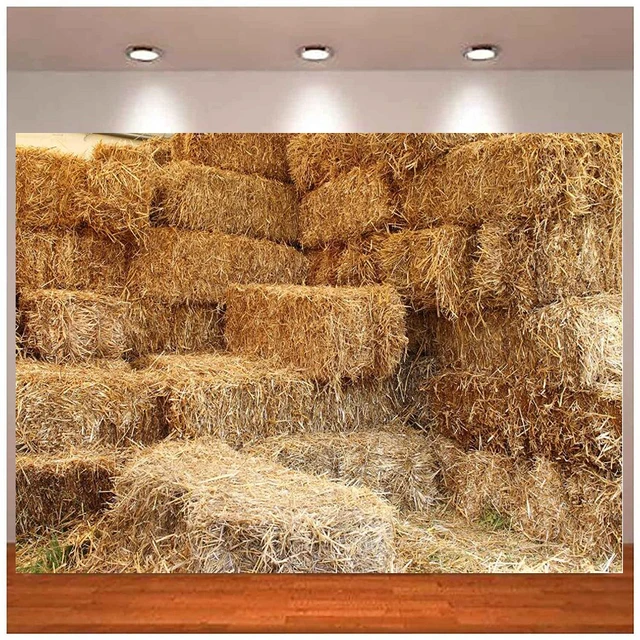 4 Pieces Mini Straw Hay Bales for Autumn Harvest Fall Craft Decoration and  Display