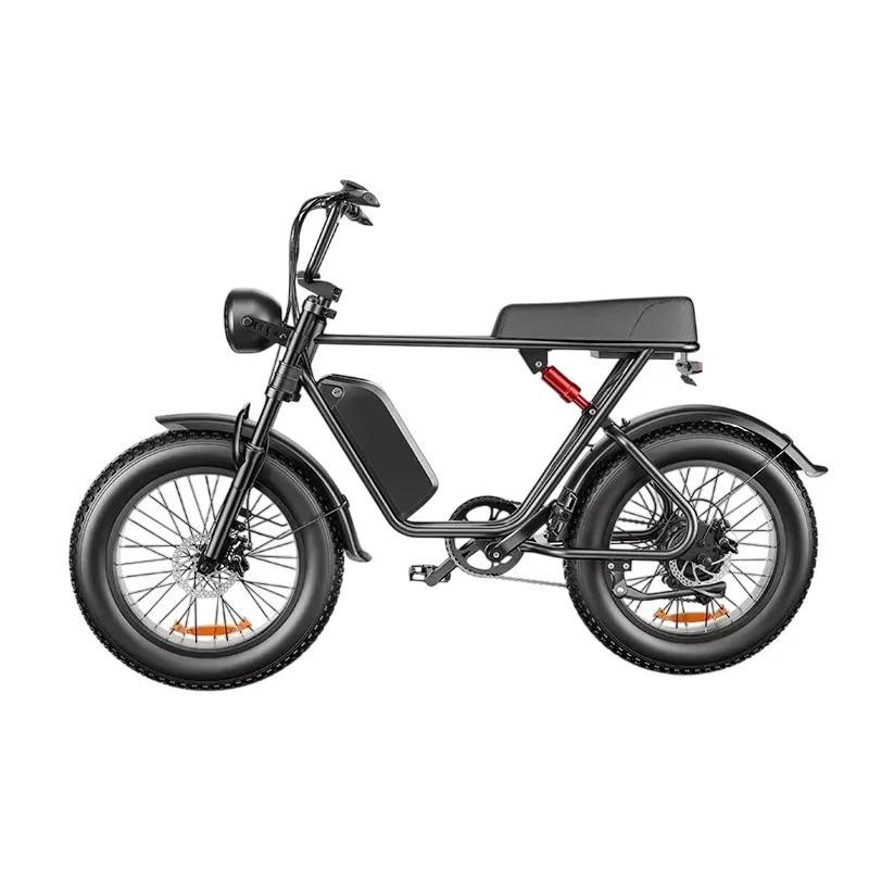Electric bike C91 powerful 2000w dual motor 48v 20ah lithium battery Electric Bicycle 20 inch fat tire mountain off-road E-bike
