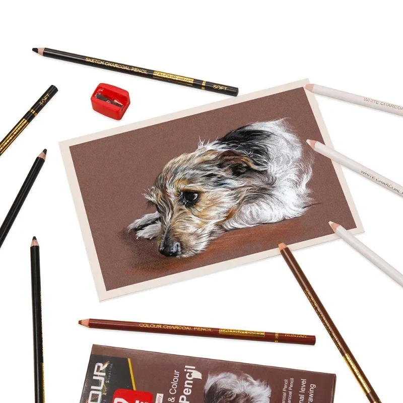 6/12 Carbon Pencil Professional White Charcoal Highlight Pencil White/Black/Colour Carbon Sketch Art Drawing Tools sketch pencils,charcoal pencils
