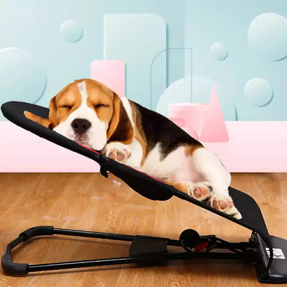 Dog Rocking Chair Gifty Vibes