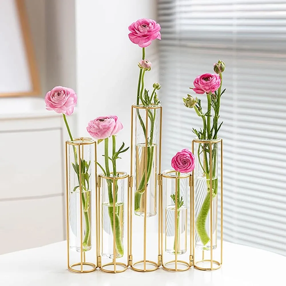 

Glass Vase with Metal Stand Racks Hydroponic Test Tube Vase Set of 5,