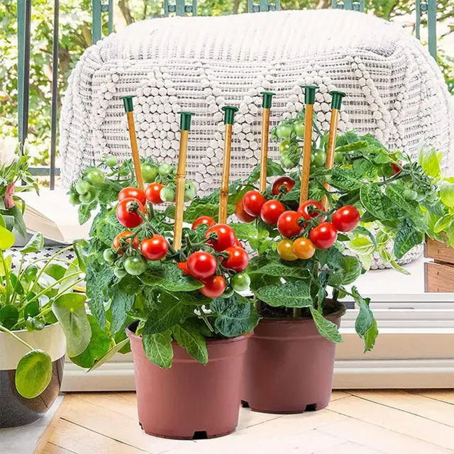 36Dics Pvc Kerti Nád Sapka Bambusz -Topper Védekezők Topper Biztonsági Sarok Burkolatok Trekking Pólus Séta Bot Nagy Teherbírású Vége - Image 4