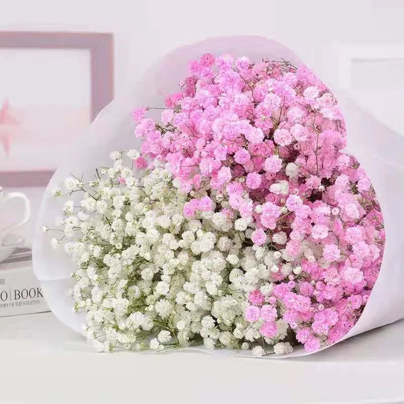 

100g Big Bunch BabysBreath Natural Dried Preserved Gypsophila Flower Decor Home Wedding Gift For Guest Artificial Flowers Mothe