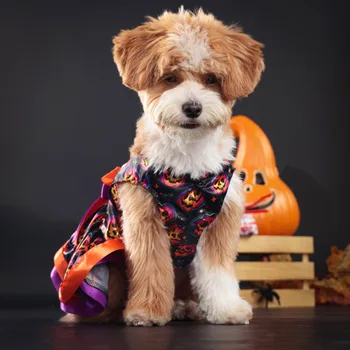 Robe Colorée Citrouille pour Chiens - 2025 - Doglovedesign : Vêtement et accessoires pour chiens