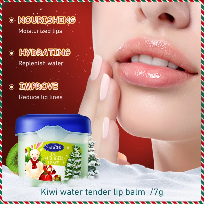 4pcs/kit SADOER Lip Balm Sets Moisturizing Anti Cracking Hydrating Repair Nourishing Plump Lips Lipstick Skin Care Christmas Box