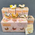 Whole box 5 pcs