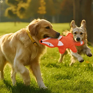 durable dog toy