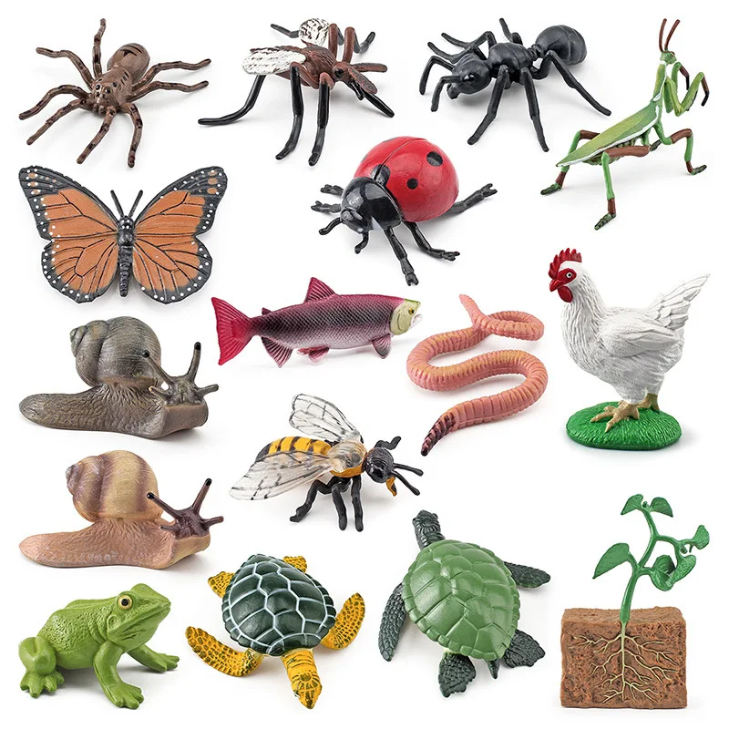 Animal Life Cycle Board Children Toy Montessori Teaching Aids Plant Animal Growth Cycle Model Set preschool cognitive Toys 4