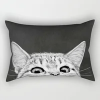 Beauty Cats Funny Dogs Animal Pattern Pillow Cases Short Plush High Quality Rectangle Thick Pillow Case Covers Size 50cm By 30cm 2