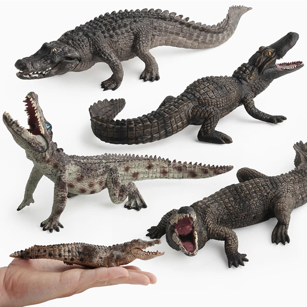 Kids Wild Life Model Children Creatures Edu…