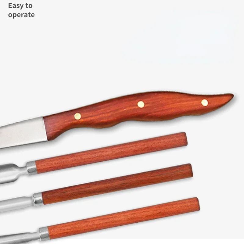 Stainless Steel Fruit Carving Knife Set for Chef and Home Use