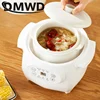 110V Electric Slow Cooker Food Steamer Ceramic Pot Multifunction BirdNest Soup Stew Pregnant Tonic Baby Supplement Heater Warmer 2