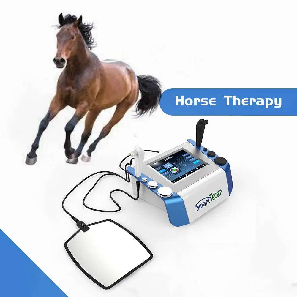 Equine 448Khz Tecar Therapy Rf Deep Diathermy Machine Cet Ret Riabilitatore Per Animali Domestici Cavalli Cane Gatto Vet Phyiotherapy Equipment