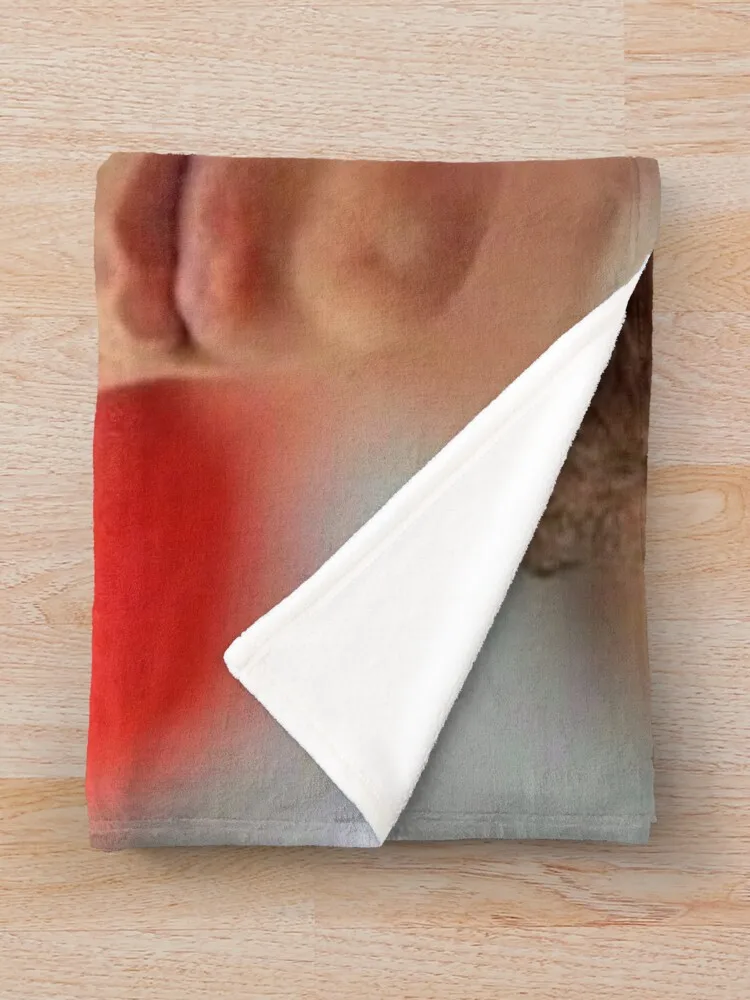 Lando Norris ������ ���, �β��� �ڽ�����, �ִϸ��̼� ���̺� �ö���, ���ſ� ���� ���, ���Ÿ�