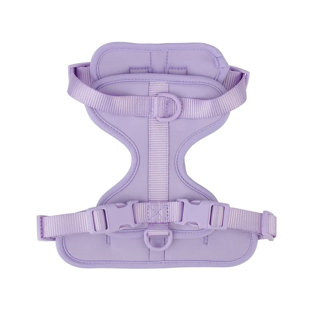 Breathable Lightweight Dog Harness with Adjustable Chest Strap for Outdoor Walks and Training