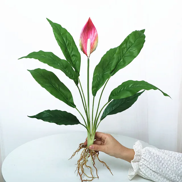 60cm Green