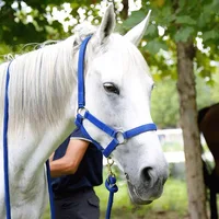 Horse Halter Reins A Bridle to Prevent Chafing Wear Resistant Webbing Halter Equestrian Equipment Horse Equipment 1