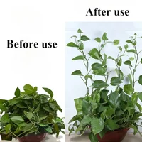 10/30/50pcs Home Garden Plant Climbing Wall Fixture Clips Rattan Vine Fixer Self-Adhesive Plant Climbing Wall Fixed Buckle Hook 4