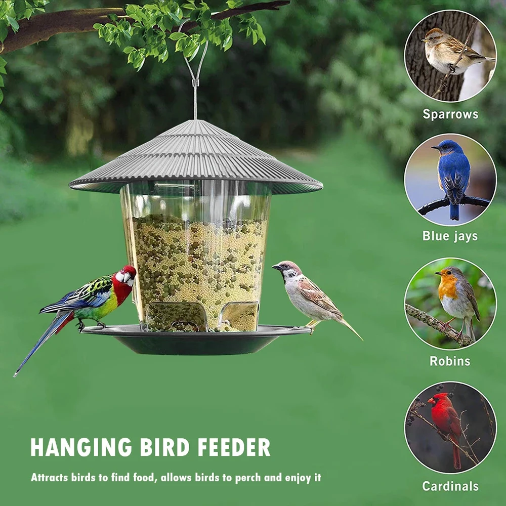 Title 1, Plastic Bird Feeder Transparent Hanging Peanut ...