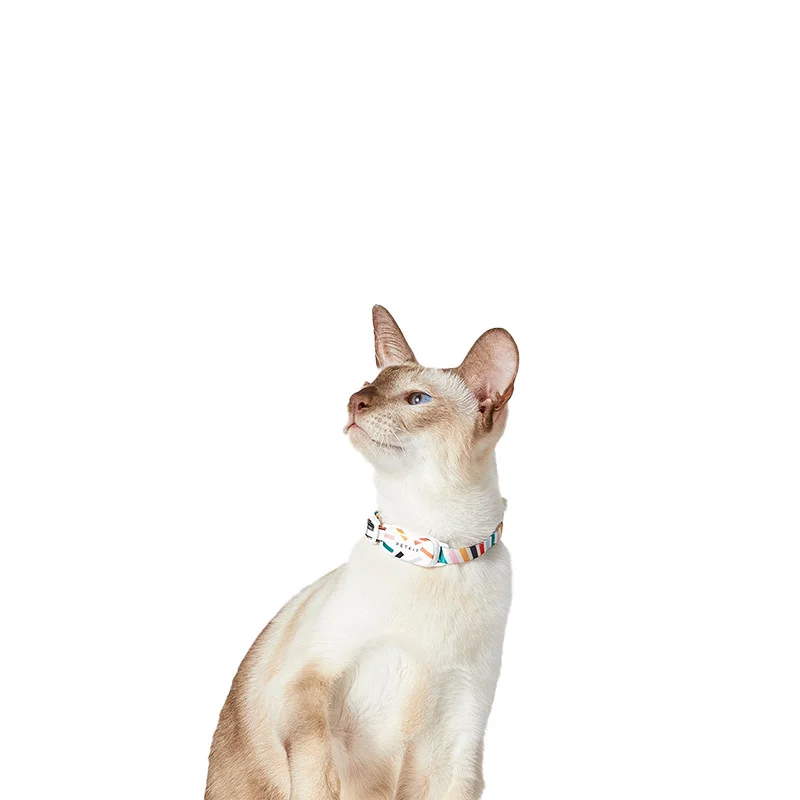PETKIT Smart Personalized Dog Cat Collars adjustable Soft Nylon waterproof puppy Collar Tags Pet Accessories APP Control