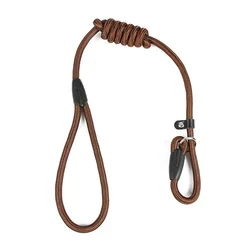 Premium Adjustable Nylon Dog Training Leash and Harness Set - 0.8cmX130cm (Coffee)